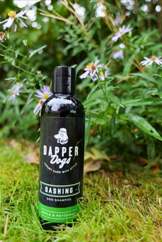 Dashing Luxury Dog Shampoo 250ml